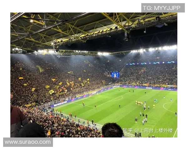 凤凰山足球明星阵容全解析揭秘他们的辉煌成就与未来展望