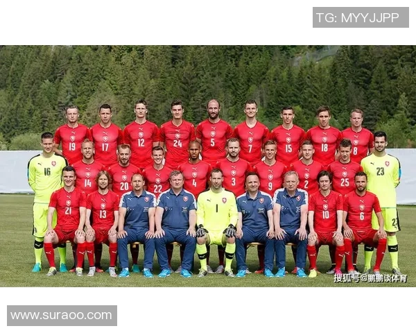 捷克对阵圣马力诺比赛结果分析及精彩瞬间回顾 捷克对阵圣马力诺比赛结果分析及精彩瞬间回顾